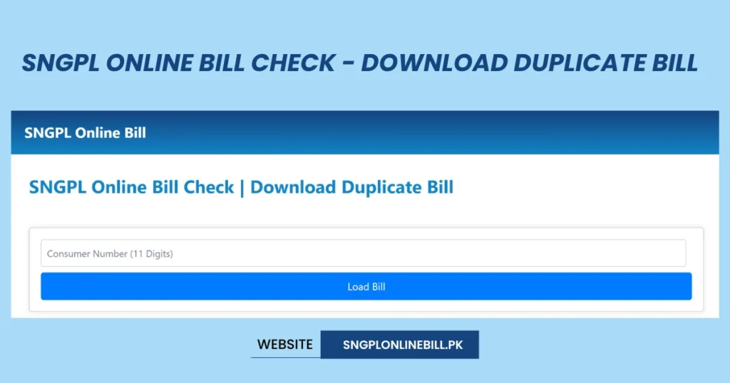 Image Describing the method of SNGPL Online Bill Check 