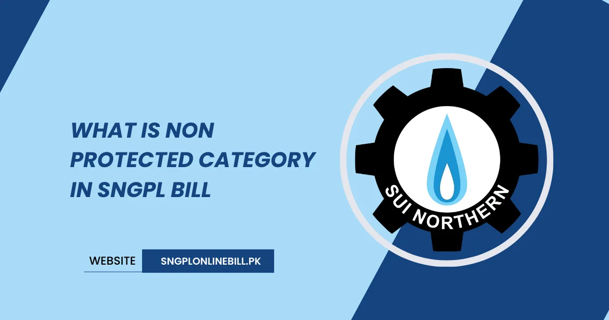 What Is Non Protected Category In SNGPL Bill