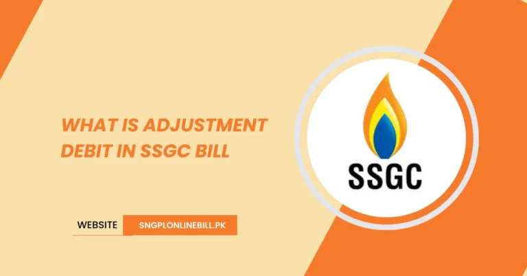 What is Adjustment Debit in SSGC Bill?