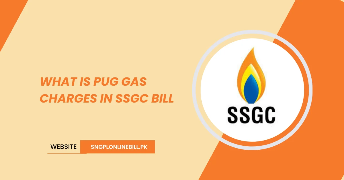 What is PUG Gas Charges in SSGC Bill